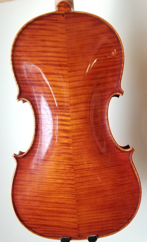 Stefano sale conia violin