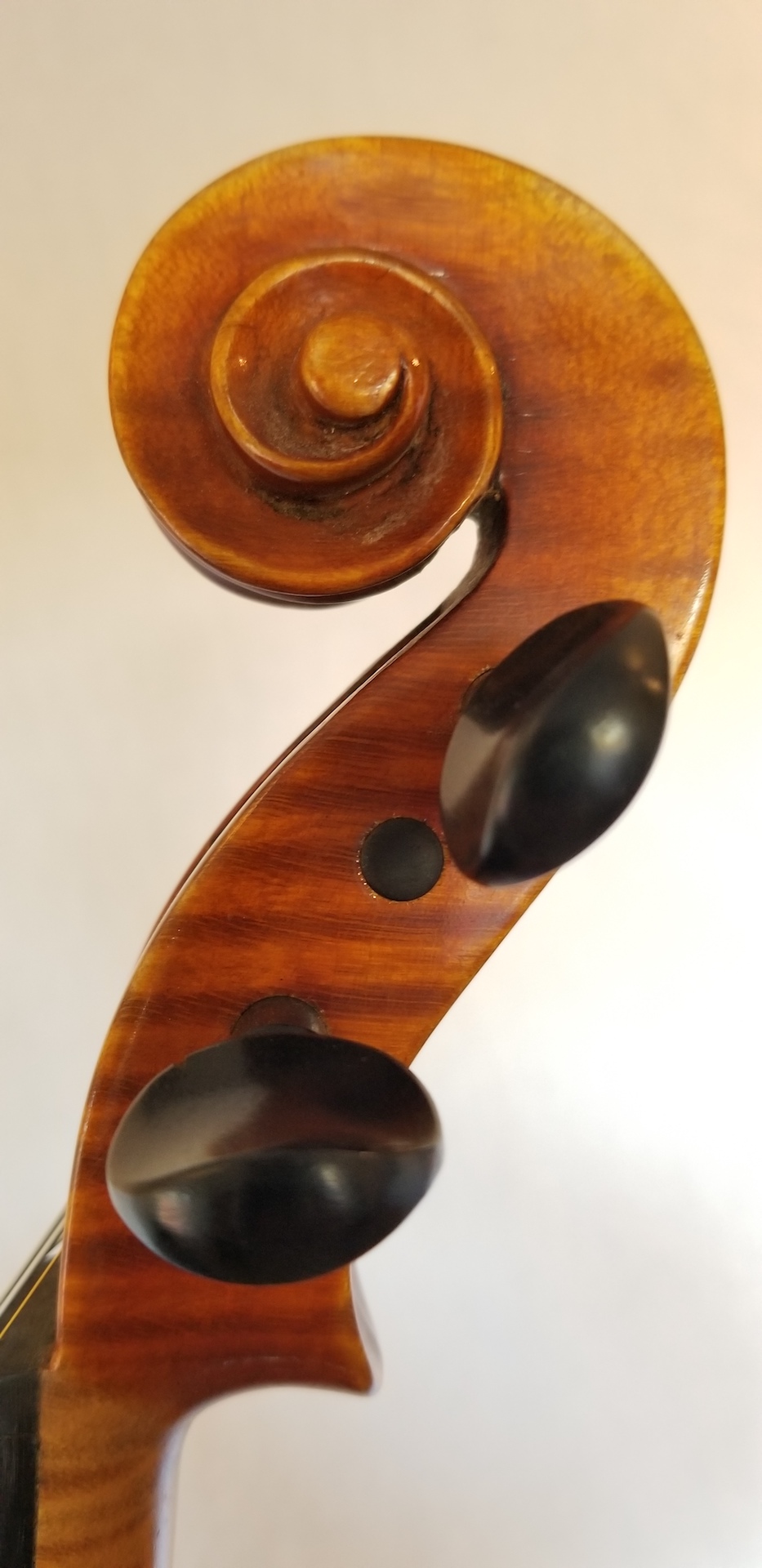 Violins