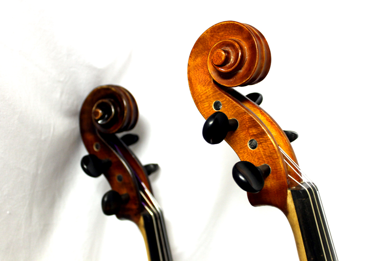 Violins