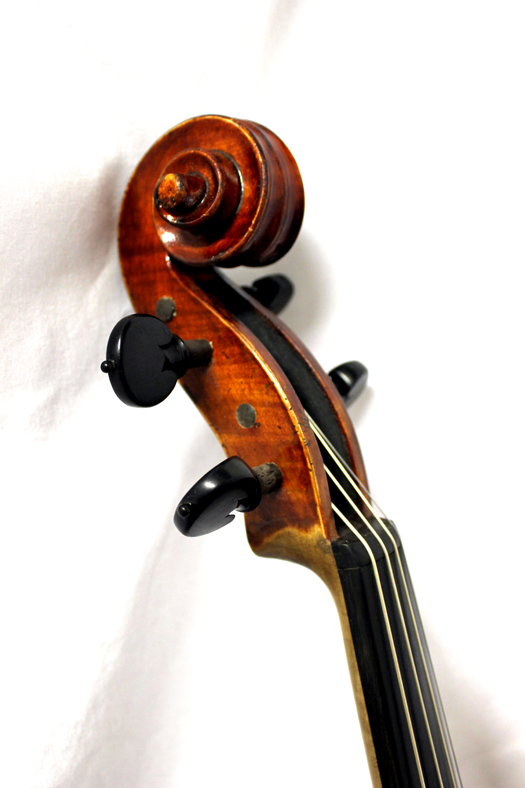 Waybright violins top